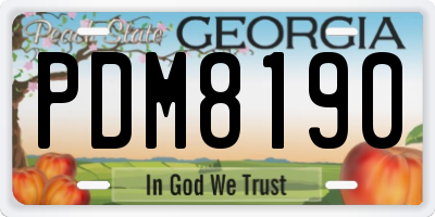 GA license plate PDM8190