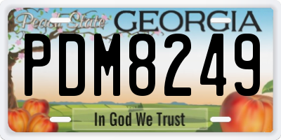 GA license plate PDM8249