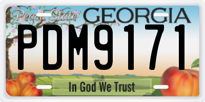 GA license plate PDM9171