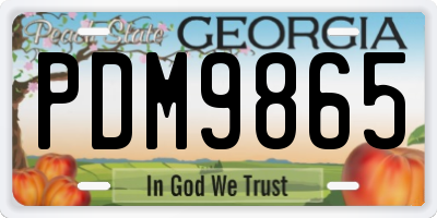 GA license plate PDM9865