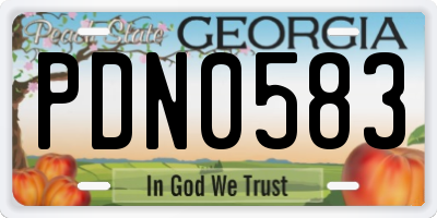 GA license plate PDN0583