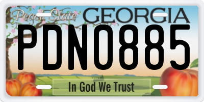 GA license plate PDN0885