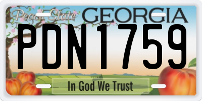 GA license plate PDN1759
