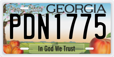 GA license plate PDN1775