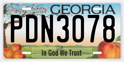 GA license plate PDN3078