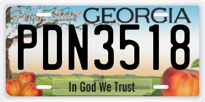 GA license plate PDN3518