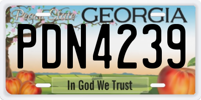GA license plate PDN4239