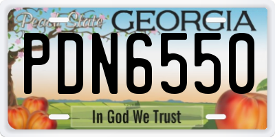 GA license plate PDN6550