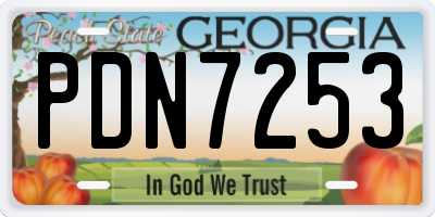 GA license plate PDN7253