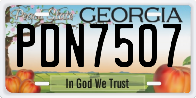 GA license plate PDN7507