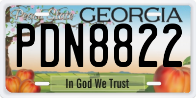 GA license plate PDN8822
