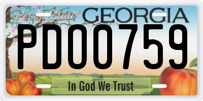 GA license plate PDO0759
