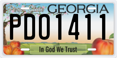 GA license plate PDO1411