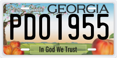 GA license plate PDO1955