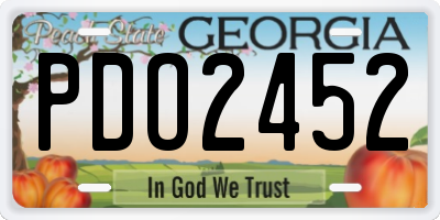 GA license plate PDO2452
