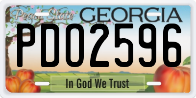 GA license plate PDO2596