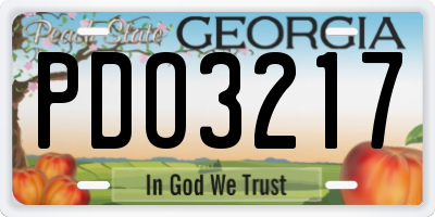 GA license plate PDO3217
