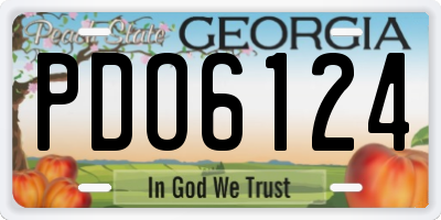 GA license plate PDO6124