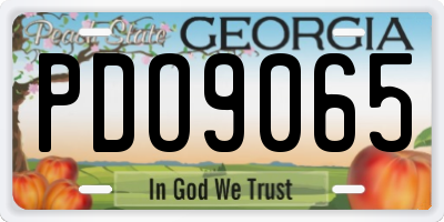 GA license plate PDO9065