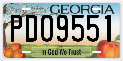 GA license plate PDO9551