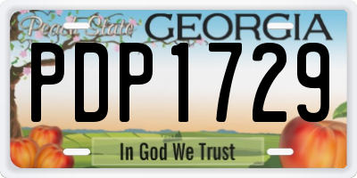GA license plate PDP1729