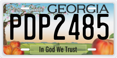 GA license plate PDP2485