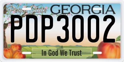 GA license plate PDP3002