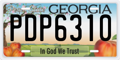 GA license plate PDP6310