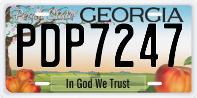 GA license plate PDP7247