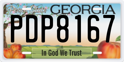 GA license plate PDP8167