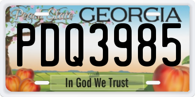 GA license plate PDQ3985