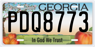 GA license plate PDQ8773