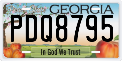 GA license plate PDQ8795