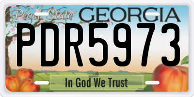 GA license plate PDR5973