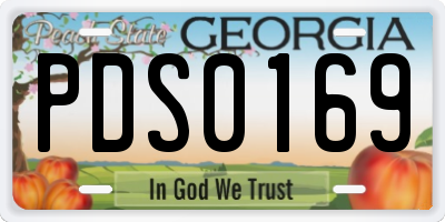 GA license plate PDS0169