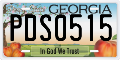 GA license plate PDS0515