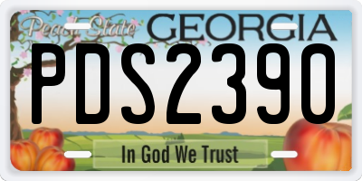 GA license plate PDS2390