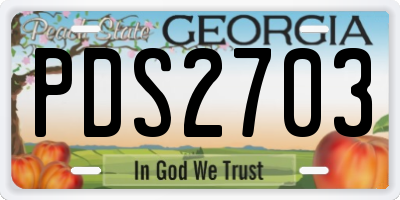 GA license plate PDS2703