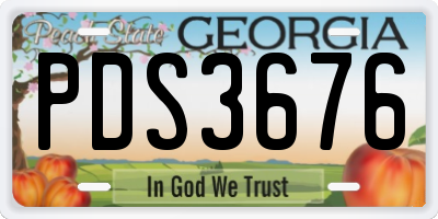 GA license plate PDS3676