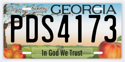GA license plate PDS4173