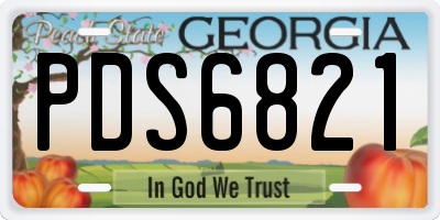GA license plate PDS6821