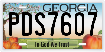 GA license plate PDS7607
