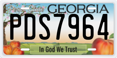 GA license plate PDS7964