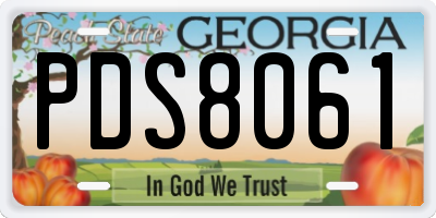 GA license plate PDS8061
