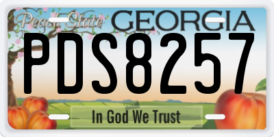GA license plate PDS8257
