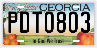 GA license plate PDT0803