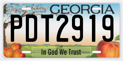 GA license plate PDT2919