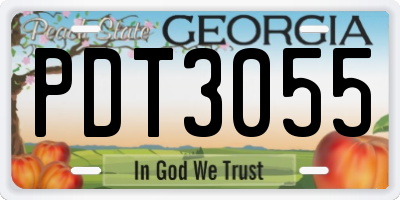 GA license plate PDT3055