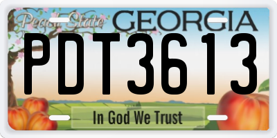 GA license plate PDT3613