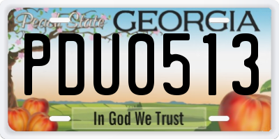 GA license plate PDU0513
